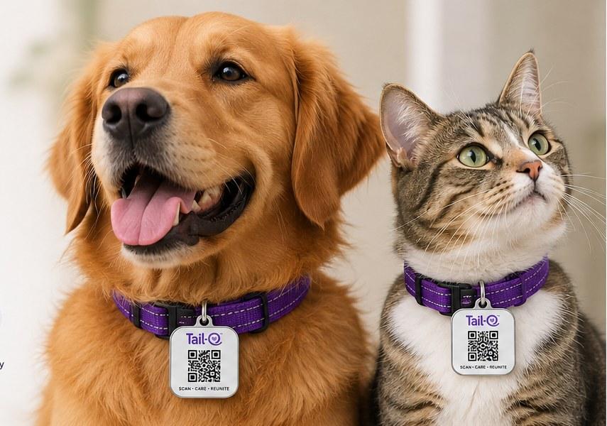 A dog and a cat, each wearing a purple Tail-O identity collar with a QR tag