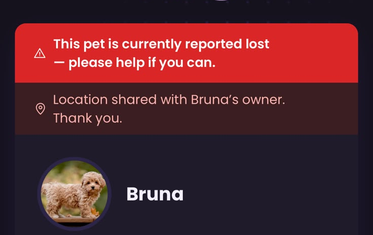 The real Tail-O page a finder sees: a lost alert, Bruna's photo and name