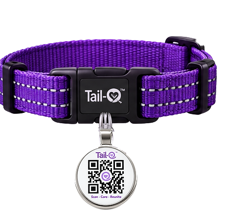 The round Tail-O pendant on a purple Tail-O collar