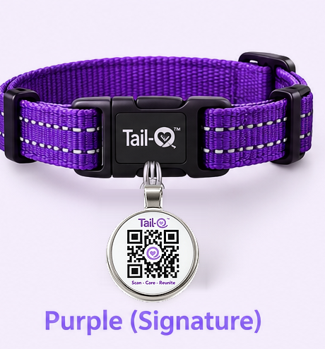 The round Tail-O pendant on a purple Tail-O collar
