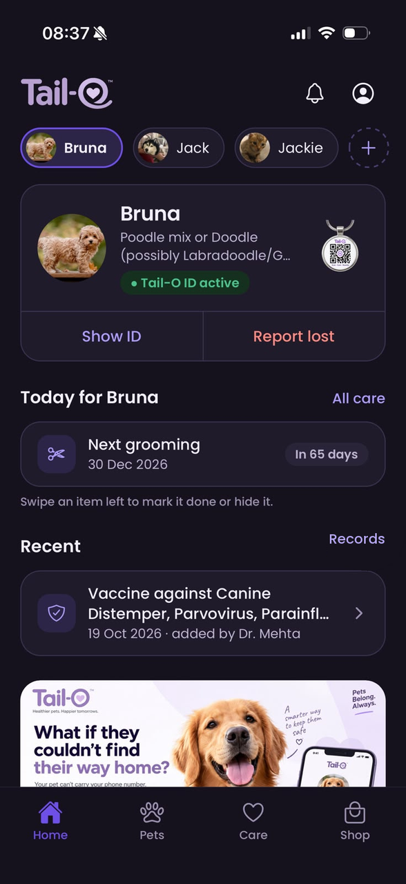 Tail-O home screen: Bruna’s Tail-O ID card with Show ID and Report lost, and today’s care